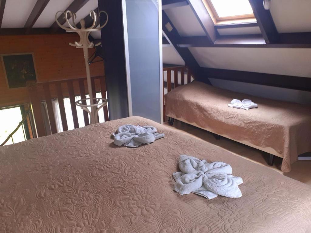 Lovely House Till 6 P. Near Amsterdam, Sea Apartamento Opmeer Exterior foto